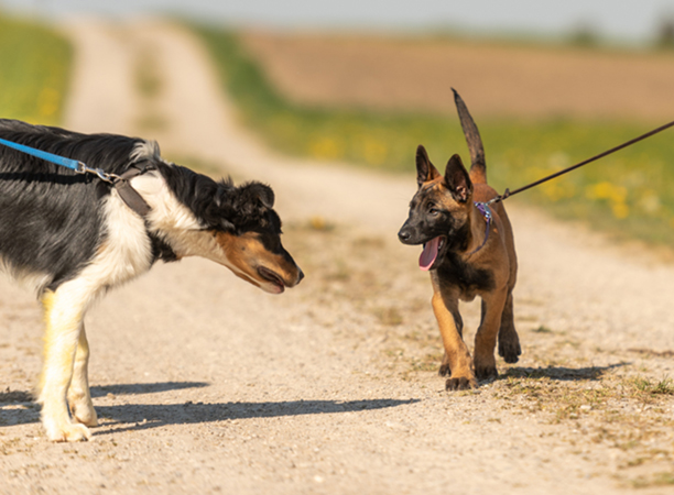 Kurse / Workshops / Veranstaltungen